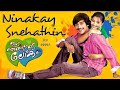 Ninakkai snehathin song lyrics |Ith nammude lokam |Vineeth sreenivasan| Malayalam Song