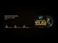 Sean Rii & BRK - Slow Down (Official Audio)