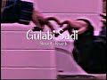Gulabi Sadi Slowed + Reverb