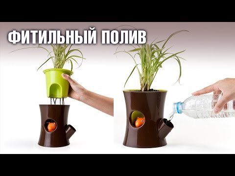 Автополив для цветка своими руками 219