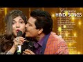 Old Bollywood Songs💞Kumar Sanu & Alka Yagnik Hit Song 🌻🌺🌻90's Super Hit Bollywood Song