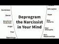 Deprogram the Narcissist in Your Mind