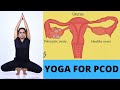 Treatment For PCOD/ Yoga for PCOD/ கருப்பை நீர்க்கட்டியை கரைக்க யோகா பயிற்சி By Dr.Lakshmi andiappan