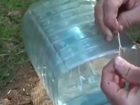 Как сделать ловушку для рыбы из пластиковой бутылки Как сделать ловушку для рыбы из пластиковой бутылки