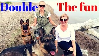 German Shepherds Double The Fun