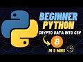 Using Python to Fetch API Data into CSV