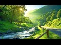 Relaxing music to relieve stress, anxiety, depression. Calm the mind #10