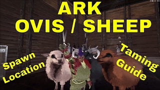 Full HD Sheep Ark Direct Download And Watch Online