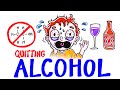 What Happens When You Quit Alcohol?