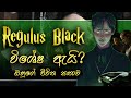 Regulus Black ගේ කතාව | Story of Regulus Black | Sinhala | Harry Potter