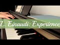 L. Einaudi: Experience