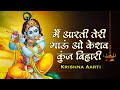 मैं आरती तेरी गाऊं ओ केशव कुंज बिहारी | Krishna Aarti | Krishna Bhajan | Krishna songs | Kunj Bihari