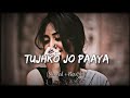 Tujhko Jo Paaya [Slowed + Reverb] - Nikhil Dsouza | Lofi Song