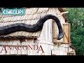 Killer Anaconda! | Anaconda 3: Offspring | CineClips