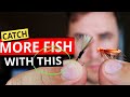 How To Fish The Dry Fly on Your Favourite UK Stillwater! (Step-by-Step for Beginners)
