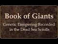 Nephilim in the Dead Sea Scrolls