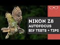 How did the Nikon z8 Autofocus perform with Birds in Flight?