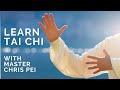 Tai Chi for Beginners | Best Instructional Video for Learning Tai Chi