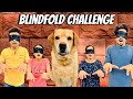 Blindfold Challenge At Home | Leo VS Family | Anant Rastogi