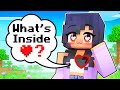 What's Inside MY HEART In Minecraft!