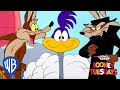Looney Tuesdays | How NOT To Capture The Roadrunner | WB Kids