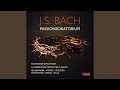 Passionsoratorium, BWV Anh. 169 (Reconstructed by Alexander Grychtolik) , Pt. I: No. 3. Aria,...