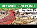 DIY Mini Bird Pond ~ Inexpensive and Easy to Build Water Feature Bath for Birds!