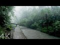 【4K】 Walking in the Todoroki Valley in the rain | Tokyo, Japan