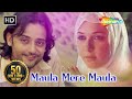 मौला मेरे मौला | Maula Mere Maula | Anwar (2007) | Siddharth Koirala | Nauheed Cyrusi | Best Song