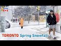 Last Taste of Winter❄️ Toronto Snowfall Cover Streets of Toronto Canada | 4K🇨🇦 Snow Walk