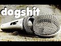 How to make your mic sound dogshit