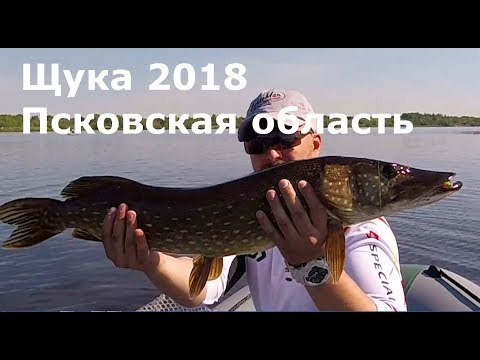 Рыбалка на щуку в пскове Рыбалка на щуку в пскове