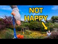 Ultimate Garden Swing (that Go’s upside-down)