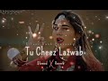 Tu cheez❣️ lajawab (slowed reverb)🔊 song ||Raju Punjabi song 🎶#haryanvisong 🎵