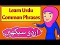 Learn Urdu Common Phrases | اردو سیکھیں | Urdu Sentences for Beginners