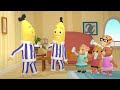 Banana Day! | Bananas in Pyjamas Season 1 | Full Episodes | Bananas In Pyjamas