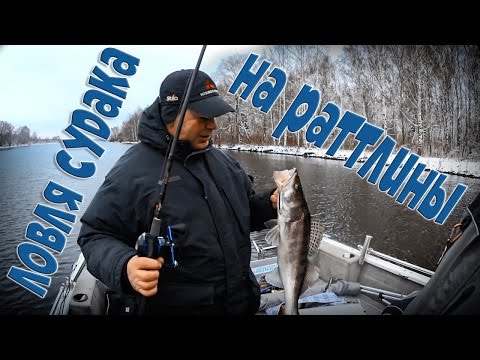 на рыбалку с раттлином. видео на рыбалку с раттлином. видео