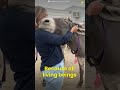 When Animals Love You