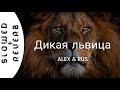 ALEX&RUS - Дикая львица (s l o w e d  +  r e v e r b)