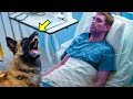 Dog Is About To Say Goodbye To Its Dying Owner, But It Sees Something STRANGE & Stops The Doctor!