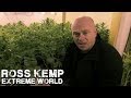 London Cannabis Farm Raid | Ross Kemp Extreme World