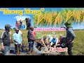 Công Giáp || Trồng Lúa Thật À ? Người Dân Hoang Mang, Từ Khi Sinh Ra Tới Giờ Mới Biết Đến Giống Lúa