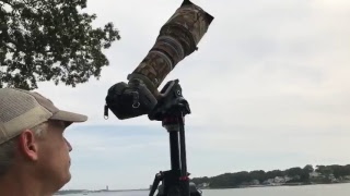 Eclipse live