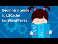 Beginner’s Guide to LiteSpeed Cache for WordPress.
