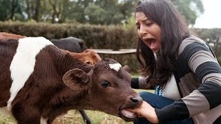 Indian Desi Funny Videos 2016 Compilation