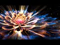LISTEN TO THIS and Attract Love, Beauty, PEACE, GOOD OMIN AND HARMONY – POWERFUL SPIRITUAL Frequency