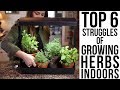 Top 6 Struggles of Growing Herbs Indoors (w/ solutions)!!!🌿🌿🌿 // Garden Answer