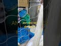 ANTI-BIRD NET|AQUACULTURE|AGRICULTURE|PROTECTION FROM BIRDS| MESSAGE ON WHATSAPP 9321779590 TAJ NETS