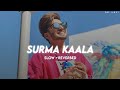Surma Kaala - (Slow + Reverbed) • Jassi Gill • DM LOFI