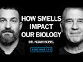Dr. Noam Sobel: How Smells Influence Our Hormones, Health & Behavior | Huberman Lab Podcast